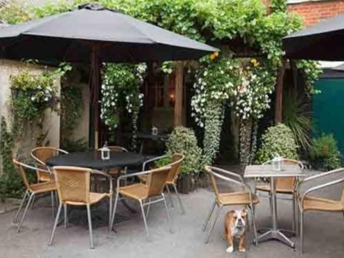 The Lamb Inn Marlborough Exterior photo